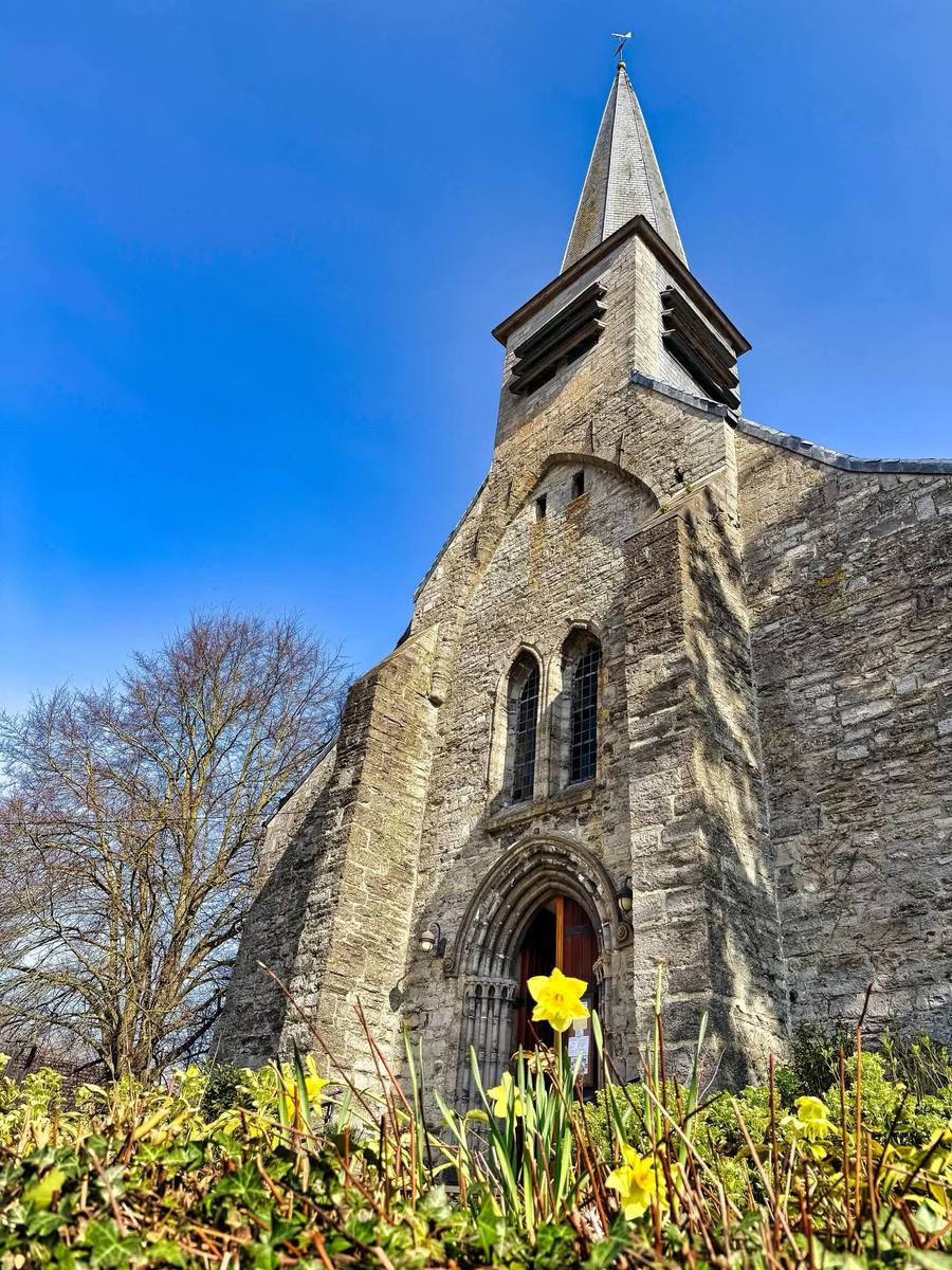Façade en pierre de l'église du village, jonquilles au premier plan